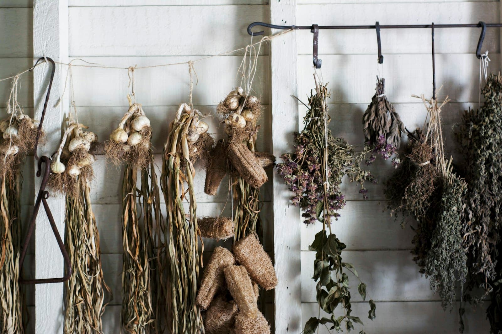 Plantas medicinales secadas de forma natural