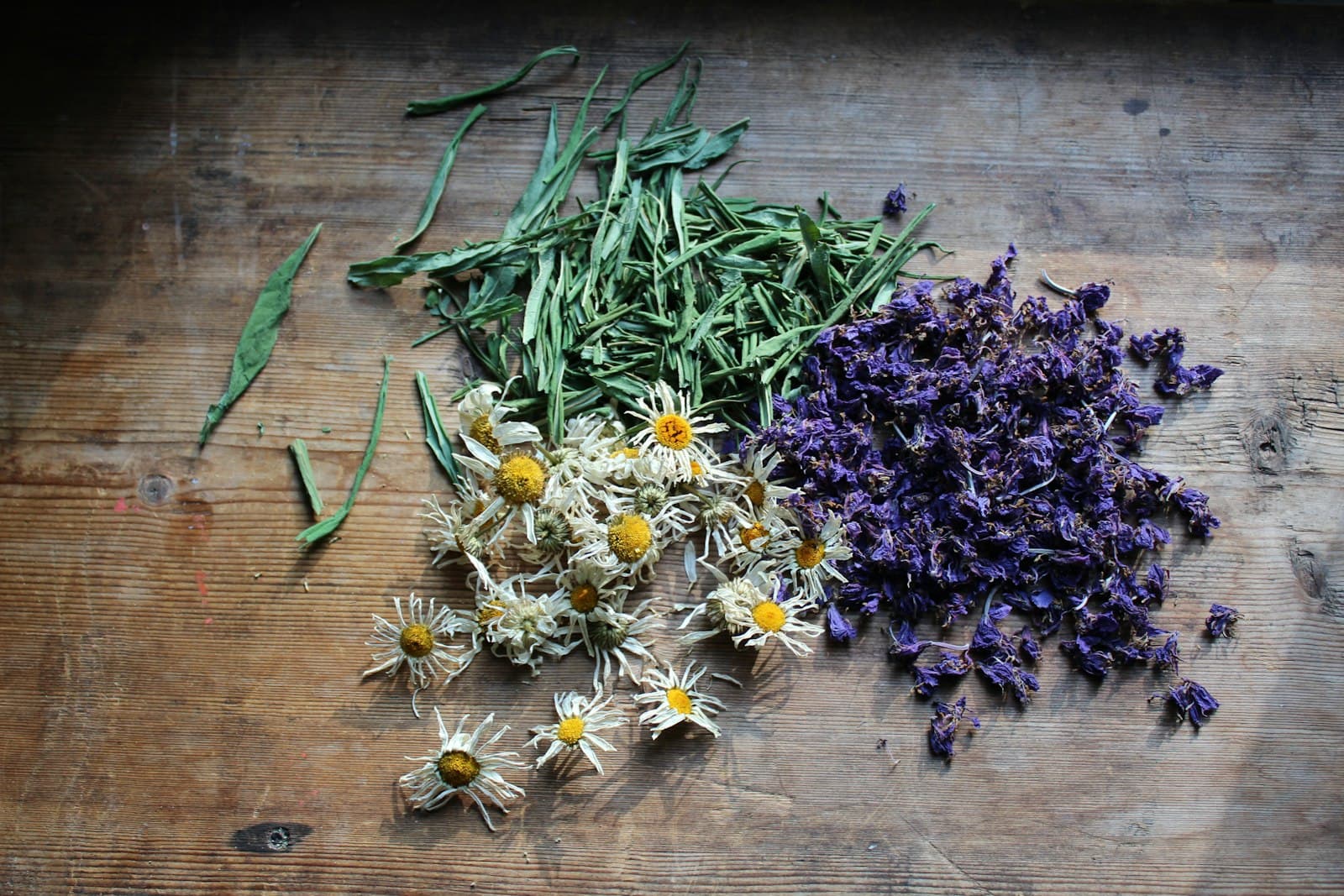 Manzanilla, lavanda y plantas de temporada